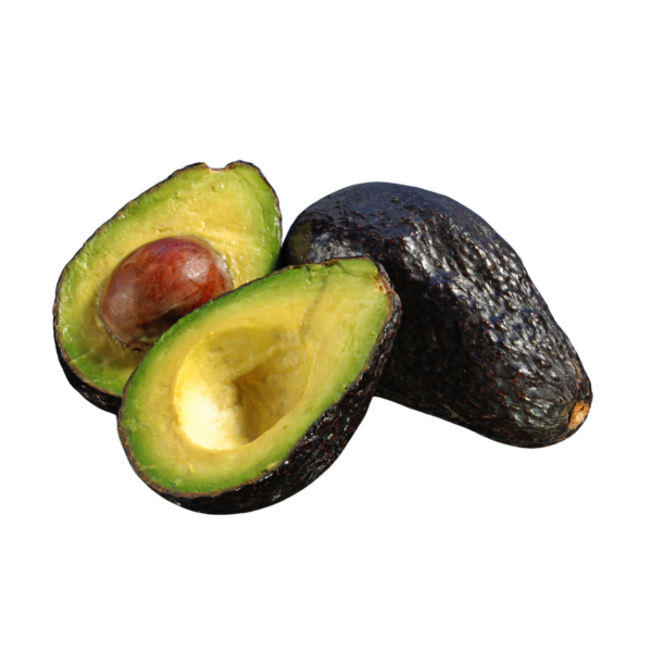 Avacado Hass