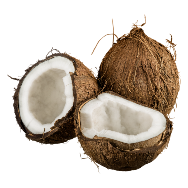 Brown Coconut