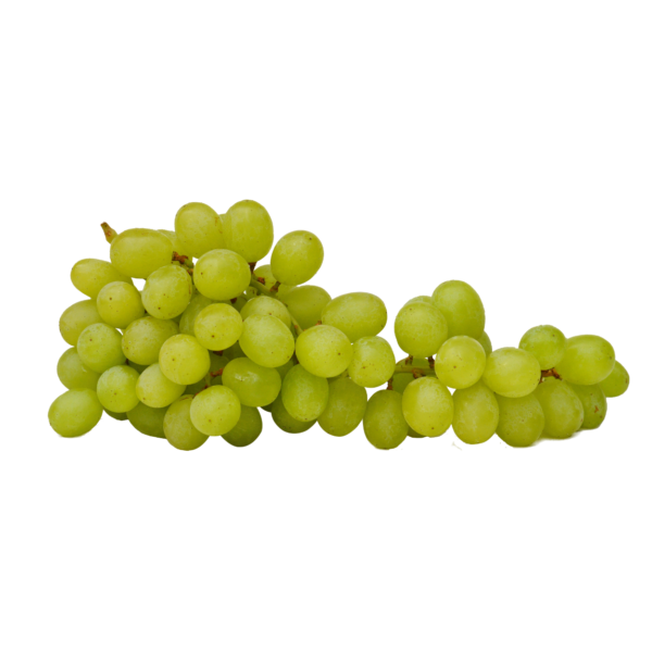 Grape Sonaka