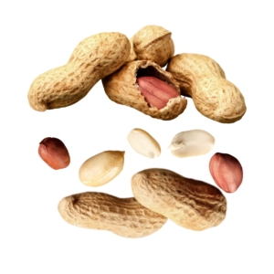 Groundnuts (Moongfali)