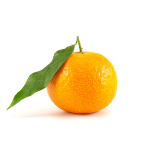 Orange Mandarin