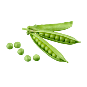 Peas (Mattar)