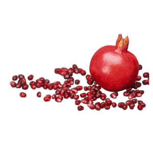 Pomegranates Regular