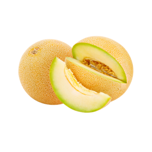 Sun Melon