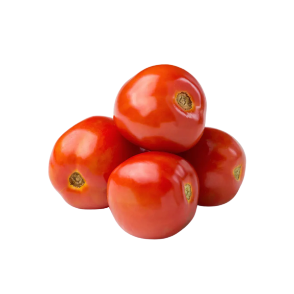 Tomato Hybrid