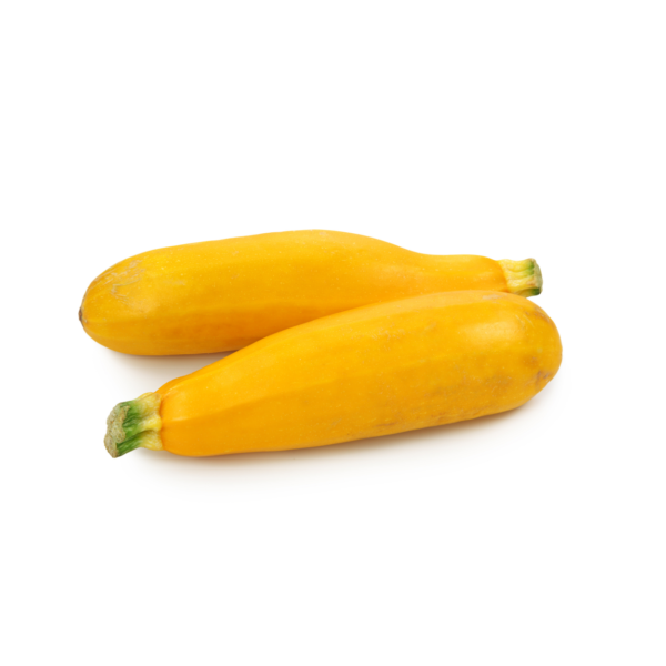 Zucchini - Yellow
